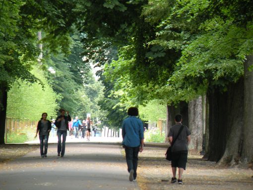  Allée du Parc de la Pépinière
